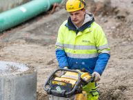 Arantes Fernandes Cardoso José Joao