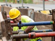 Rodrigues Carlos Alberto